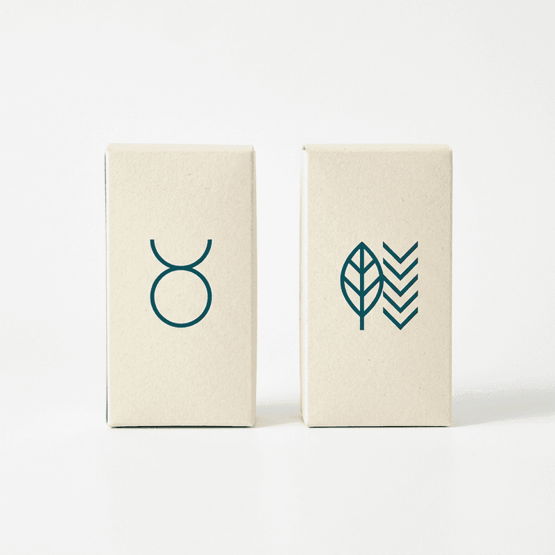 Dental & Shave Kit — Paper Carton